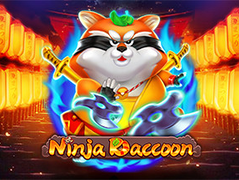 Ninja Raccoon